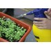 Jabon Potasico Natural Biodegradable sin Residuos para Jardin o Plantas