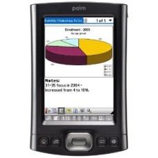 Palm TX - Atractiva y Novedosas Palms TX